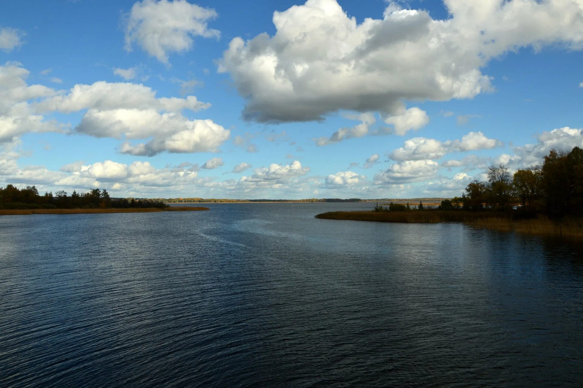 Волга это река. Река Волга Селигер. Река Волга Конаково. Великая река Волга. Великие реки России Волга.