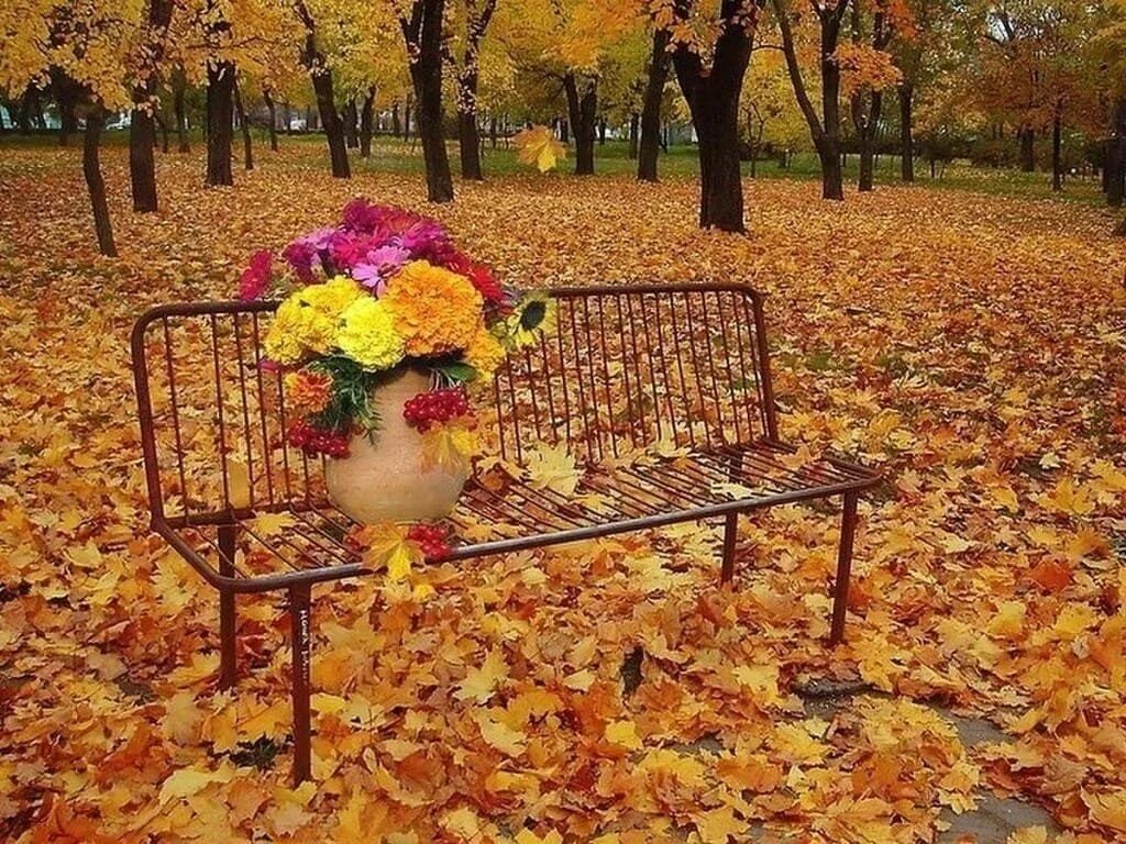Осеннее настроение. Осенний день. Осенняя грусть. Снова осень.