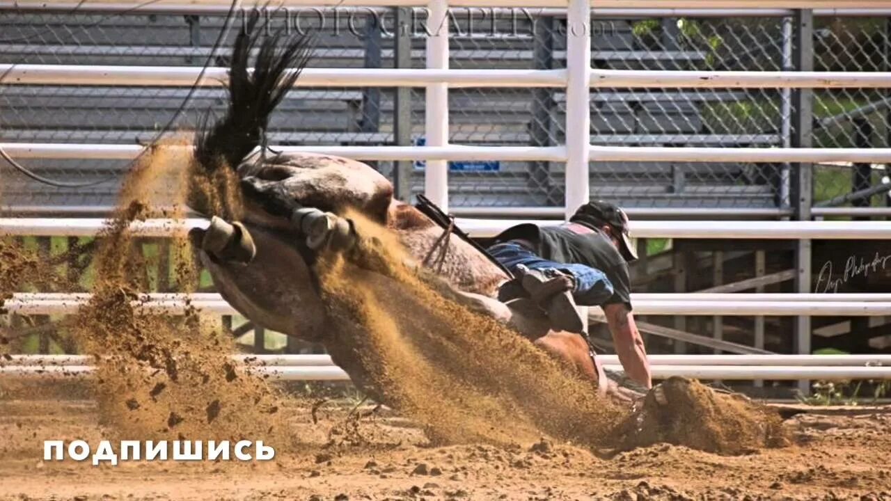 Картер кони видео. Ужасные падение людей с лошадьми. Человек вместо коня. Падение с лошади в прыжке видео. Падение с лошади в прыжке фото.