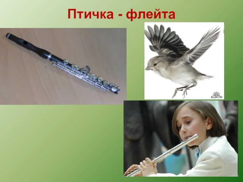 Свирель поет. Птичка флейта. свирель инструмент птицы. птичья свирель музыкальный инструмент.