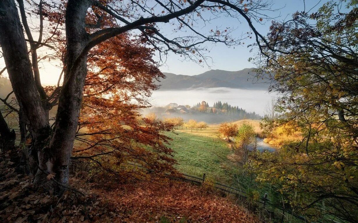 Невероятная осень. Украина Карпаты реки осень лес. Октябрь природа. Карпаты осенью. Осенний пейзаж Карпаты.