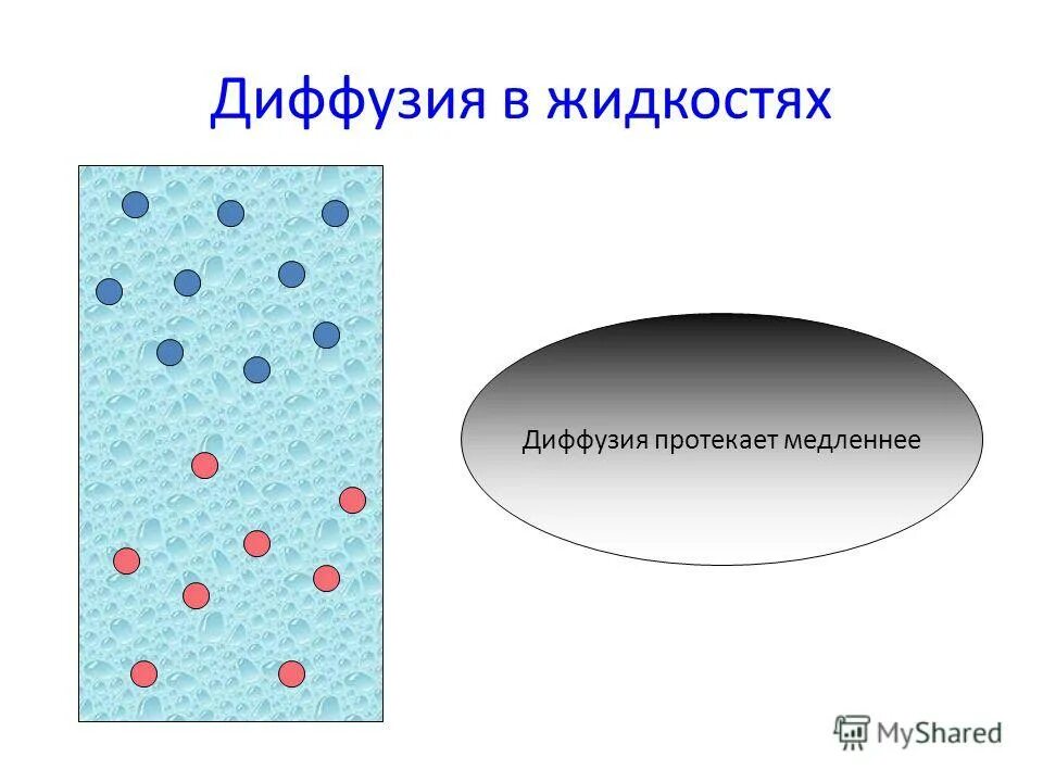 Диффузия в жидкостях. Диффузия в жидкостях