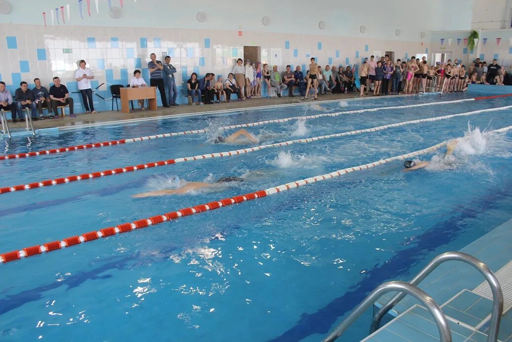 Фок зарайск. Зарайск бассейн. Бассейн в зарайске цены. Кировская спортшкола санкт-петербург. Дворец спорта зарайск.