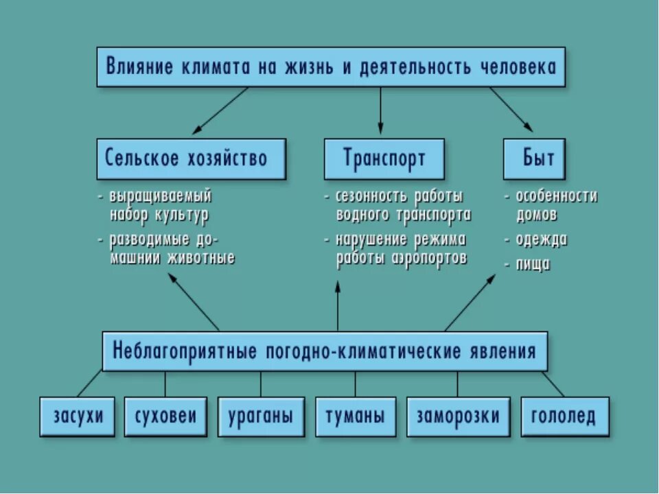 Влияние климата на жизнь деятельность человека