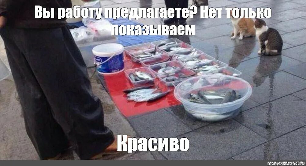 Мем коты с рыбами С 1 апреля: подборка самых смешных мемов 2022 про санкции, уход брендов и саха