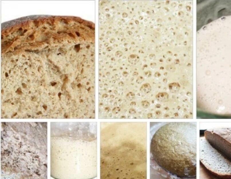 Сколько закваски нужно для хлеба. Хлебная закваска. Дрожжевая закваска для хлеба. Пшеничный хлеб на закваске. Хлеб на закваске и дрожжах.