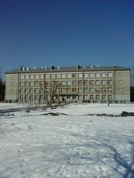 498 спб. Гимназия 498 санкт-петербург. 498 спб. Гимназия 498 учителя. Гимназия 498 спб.