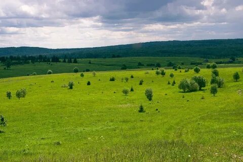Природа русской равнины