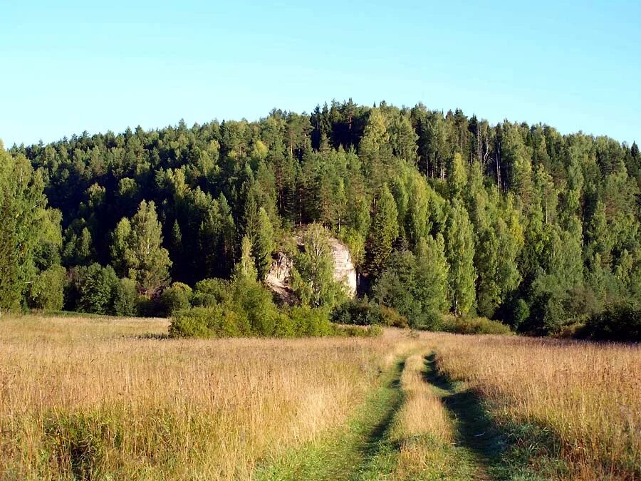 Вятский край Кировская область. Вятские леса Кировская область. Поверхность Вятского края Кировской области. Родной край Кировская область. Картинка кировская область