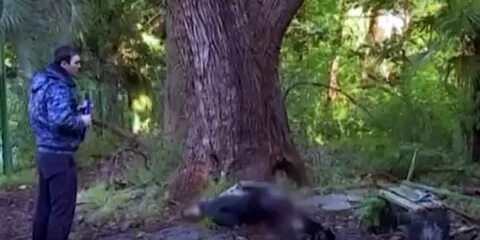 В абхазии нет света