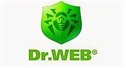 Web 7