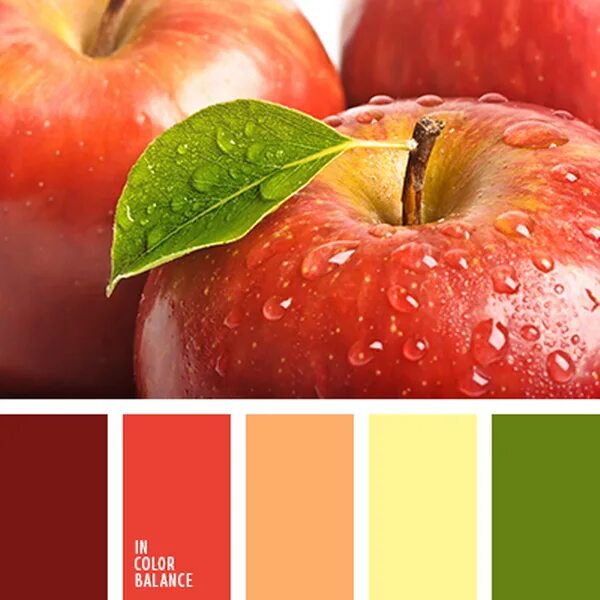 Citrus Natural Green Colour Palette Green colour palette, Color schemes colour p