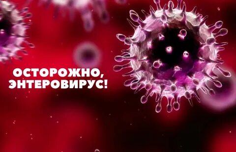 Энтеровирус опасен ли