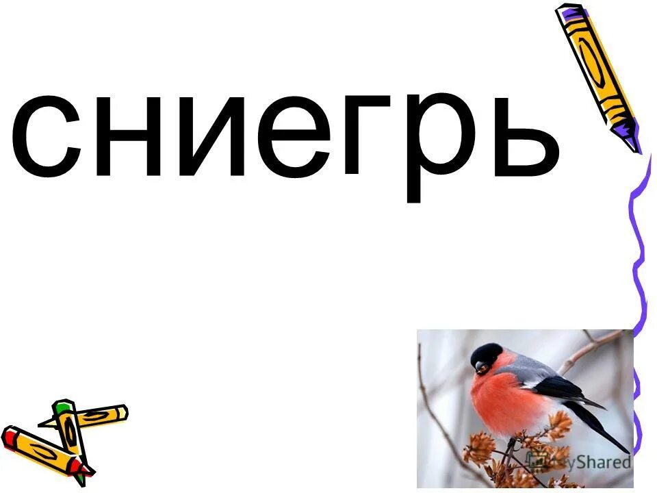 8 вид русский