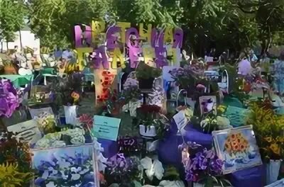 калуга в цвету. выставка цветочных композиций. выставка цветов калуга 2024. выставка фестиваль цветов в детском саду. выставка цветов калуга 2024.