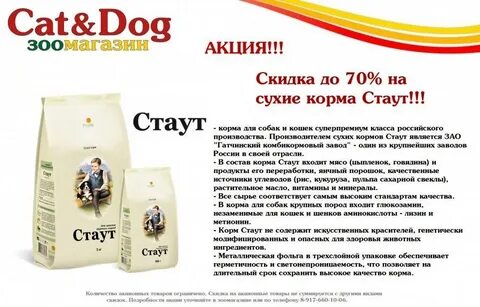 Чем отличается корм для собак