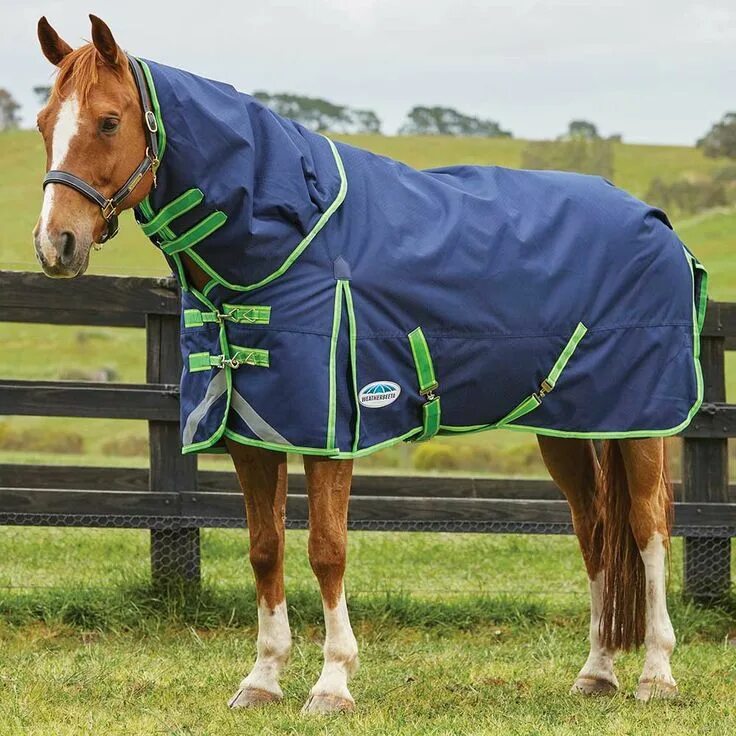 Horse wear. Подкладка silk-feel или stay-dry попона. Лошадь попона девушка. Попона для коровы. Попона.