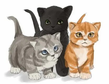 Коты воители 3