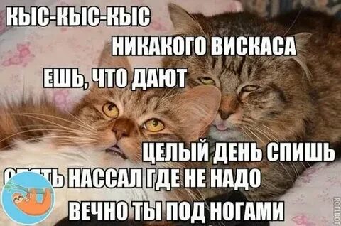 Ее целый день с