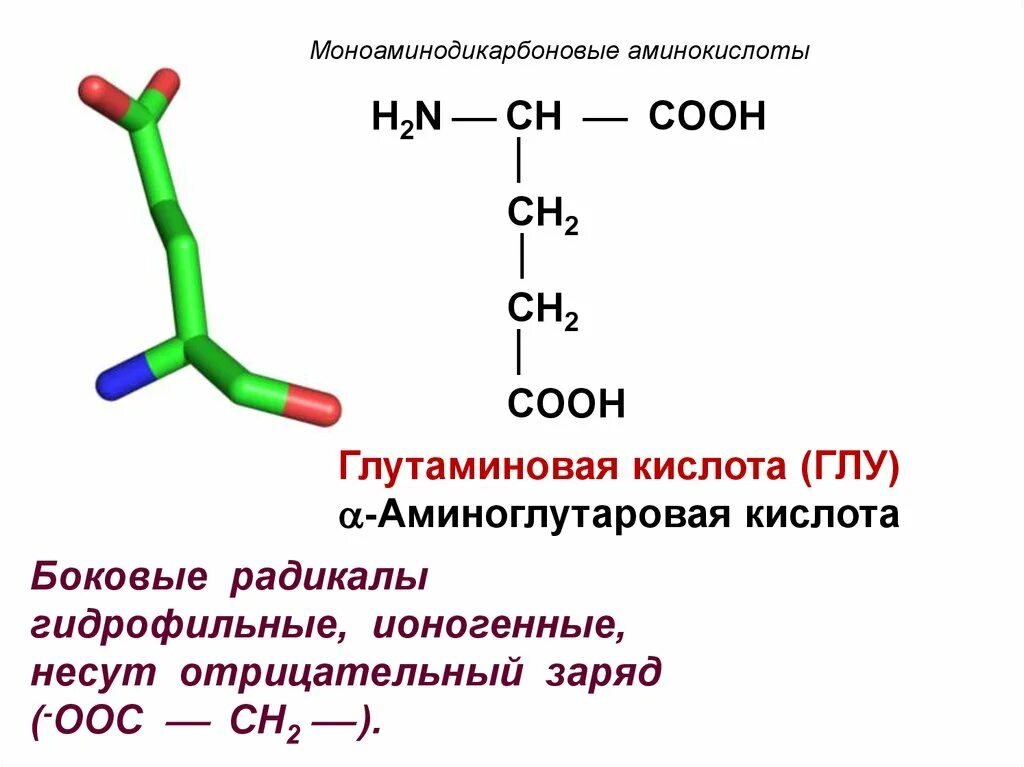 Полярные отрицательно заряженные аминокислоты. Глутаминовая кислота номенклатура. Аминокислоты. Неполярные аминокислоты заряд. Глутаминовая кислота формула аминокислоты.