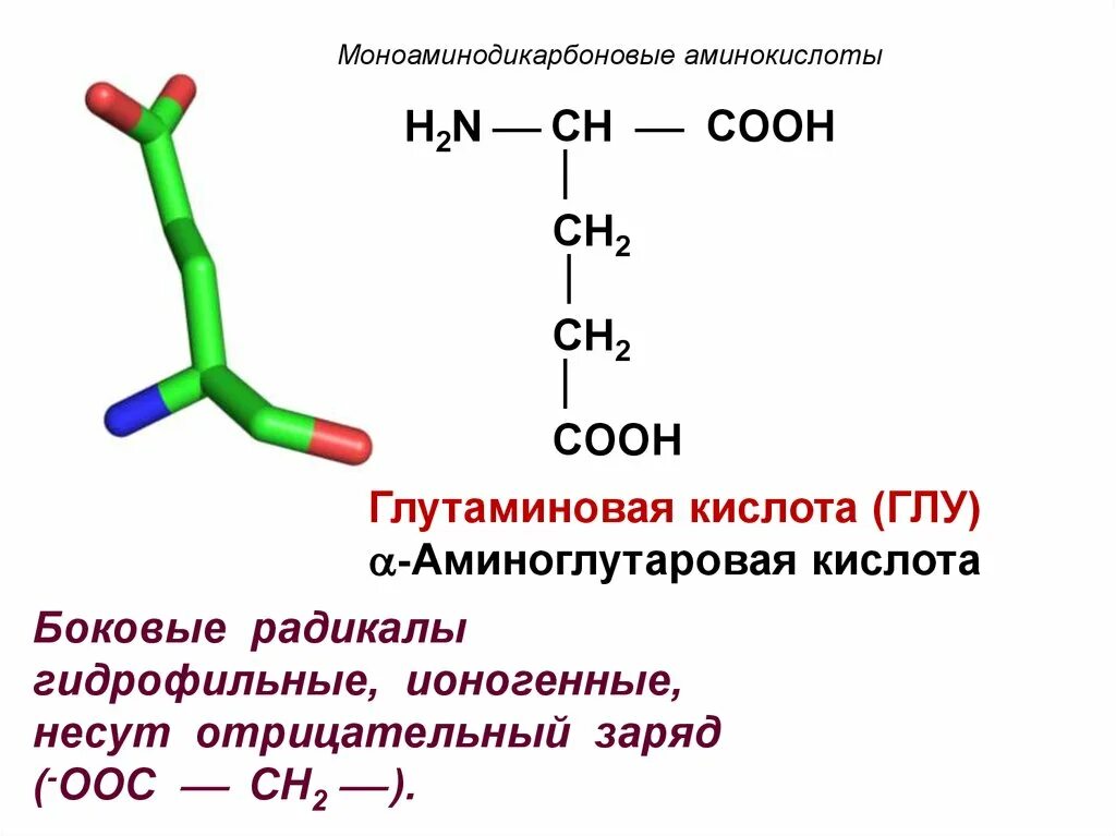 Для чего нужна глутаминовая кислота. Аминоглутаровая кислота формула. Глутаминовая кислота аминокислота. Глутаминовая кислота номенклатура. Глютаминовая кислота - аминокислота.