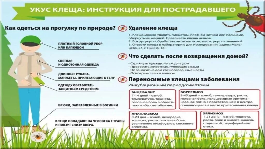 Через сколько после обработки клещей можно гулять