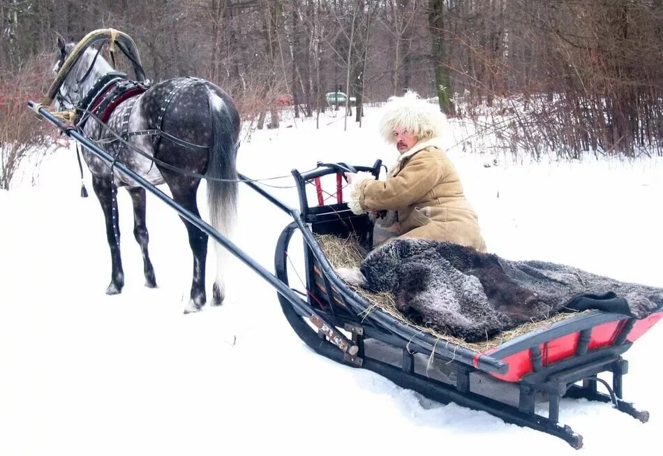 сани розвальни конные. дровни и розвальни. пони сани. сани конные дровни. сани дровни розвальни.