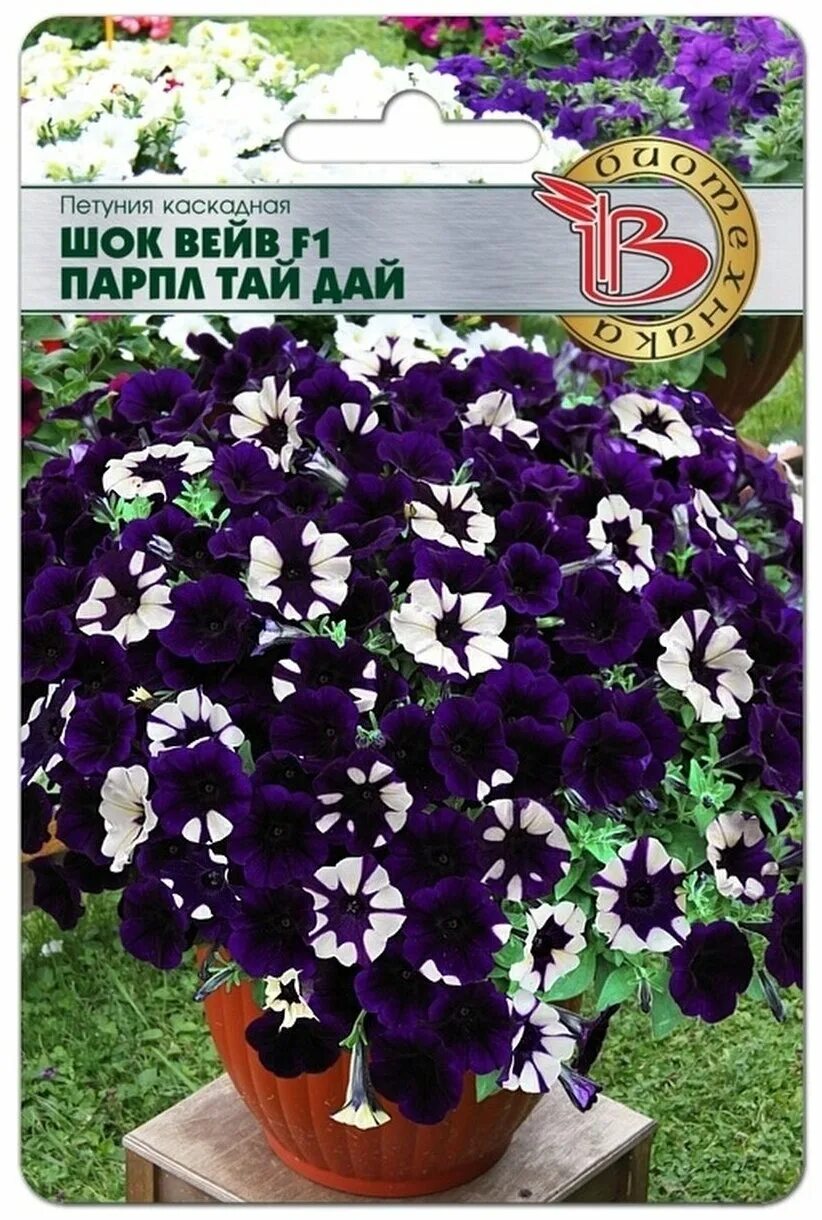 петуния shock wave. петуния мультифлора "мерлин" смесь f1. петуния каскадная вейв парпл. петуния тай парпл. петуния шок вейв космо ампельная.