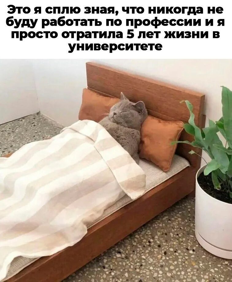Не хочу рано вставать
