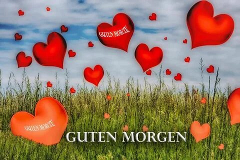Guten morgen