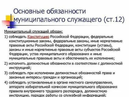 Что такое государственная и муниципальная служба