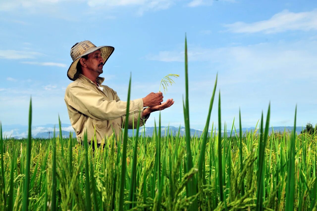 Спец по земледелию. Спец по земледелию. Сидераты для огорода. Спец по земледелию. Рабочий сельского хозяйства.