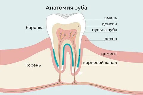 Как сделать пульпу