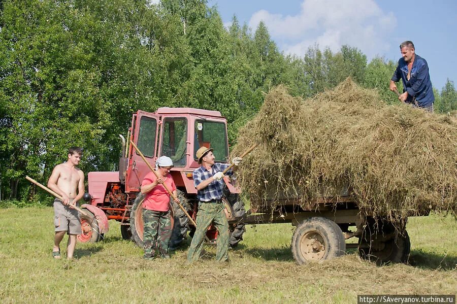 Собираемся на неделю в деревню. Трактор собирает сено. Сенокос в деревне. Уборка сена. Деревенский тракторист.