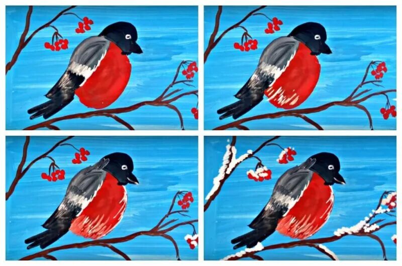 Снегирь рисунок. Снегирь на ветке гуашью. Поэтапное рисование снегиря красками. Поэтапное рисование снегиря красками. Рисование с детьми снегирь.
