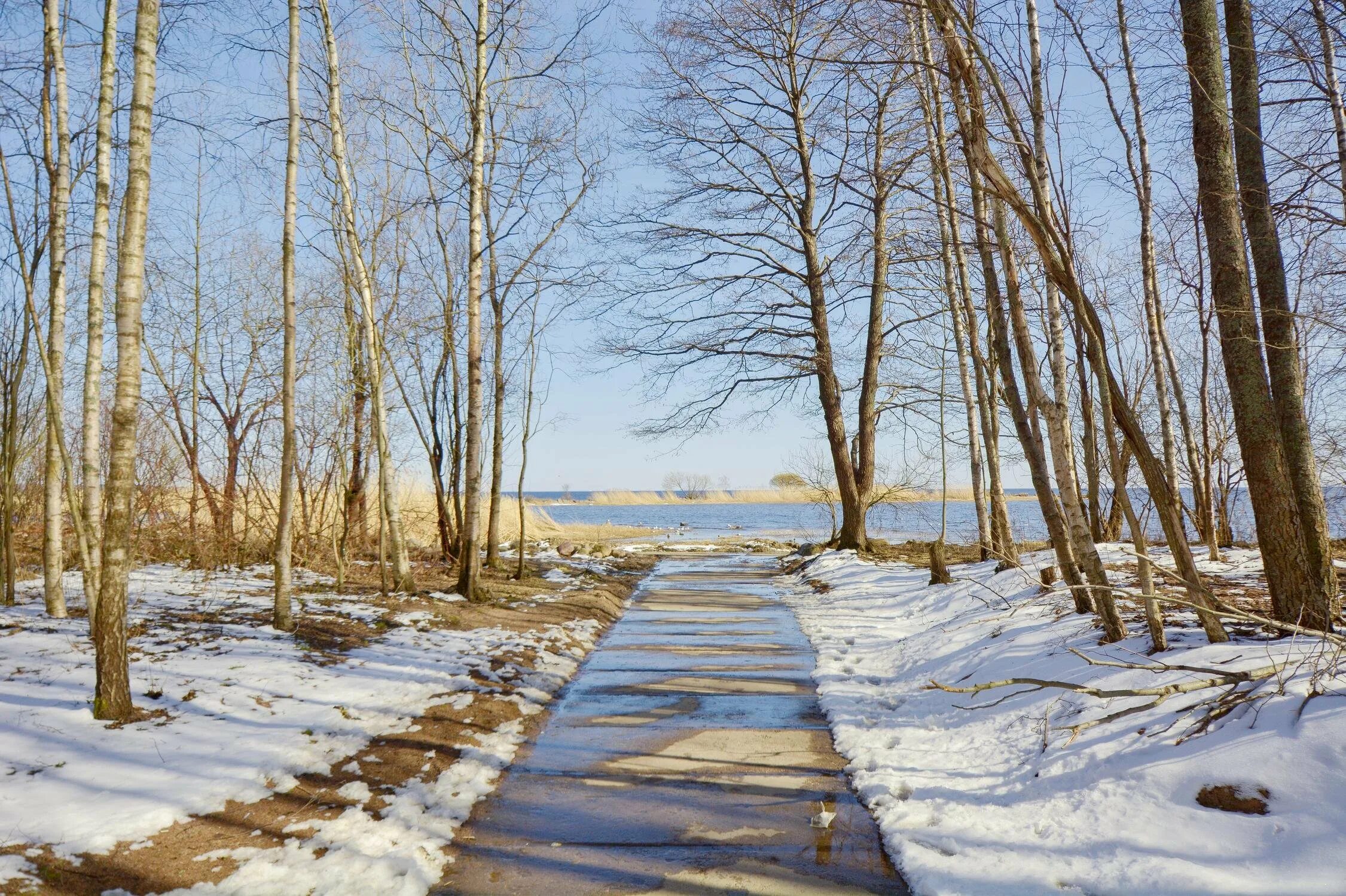 Черная речка хабаровский. Санаторий черная речка зима. Лесная черная речка. Санаторий чёрная речка Ленинградская область. Чёрная речка (Тюменская область).