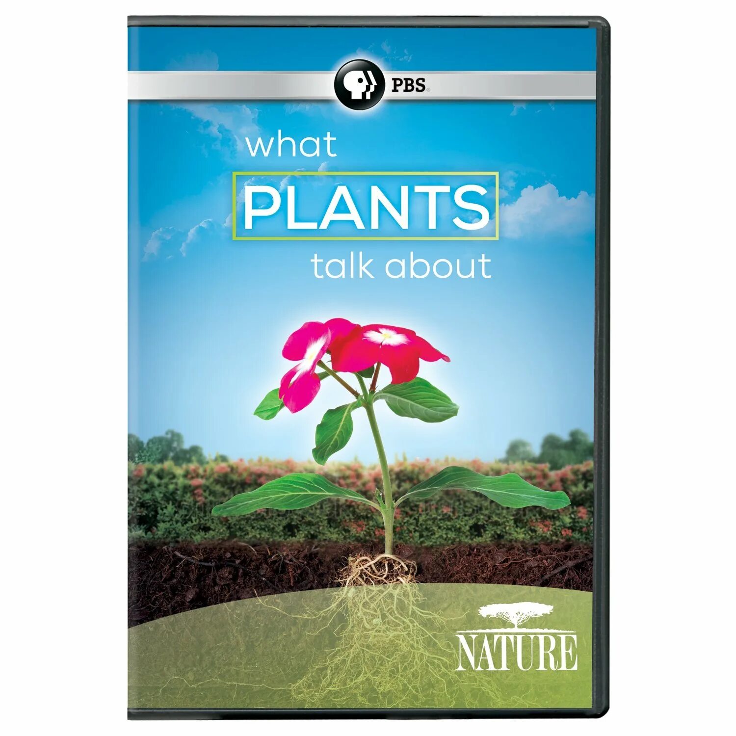 Plants talk