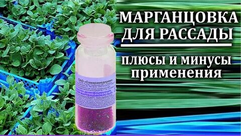 Применение марганцовки в саду