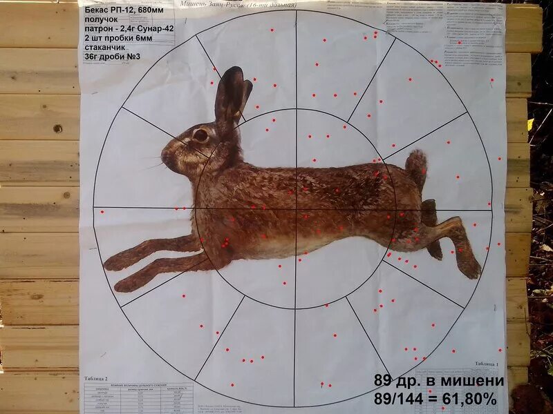 какие патроны на зайца 12. какие патроны на зайца 12. таблица размеров дроби 12 калибра для охоты. какой дробью стрелять зайца. дробь на зайца зимой.