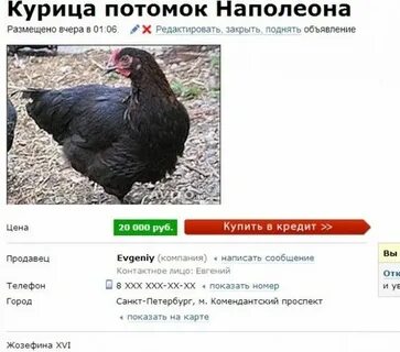 Картинки авито объявления