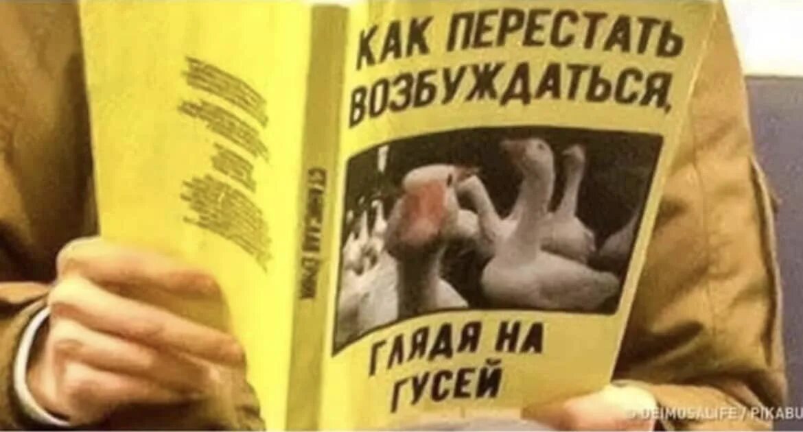 Книга как жить если у тебя. Как пеоестать возюужать гдядя на гусей. Как перестать возбуждаться глядя на гусей. Смешные обложки книг. Книга как перестать.