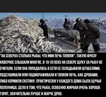 Они участвуют топят