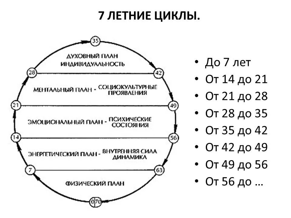 Семилетние циклы жизни. Кризисы и Семилетние циклы развития человека. 12 Летний цикл развития человека. Семилетние циклы в жизни человека. Цикл человеческой жизни.