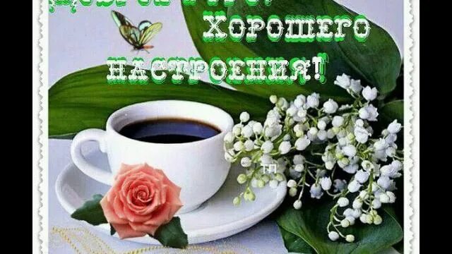 Поздравление с добрым утром на вацапе. Доброе майское утро с пожеланиями. открытки с добрым мартовским утром. доброе весеннее утро удачной недели. открытки с добрым майским утром понедельника.