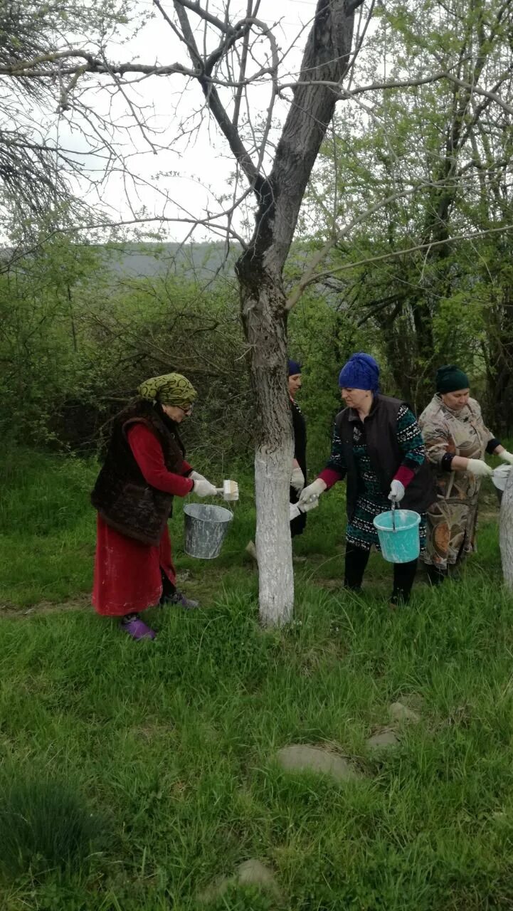 Музей гьасана алкьвадар. Алкадарский курбан. Наида алкадарская. Население алкадара. Субботники в 2023.