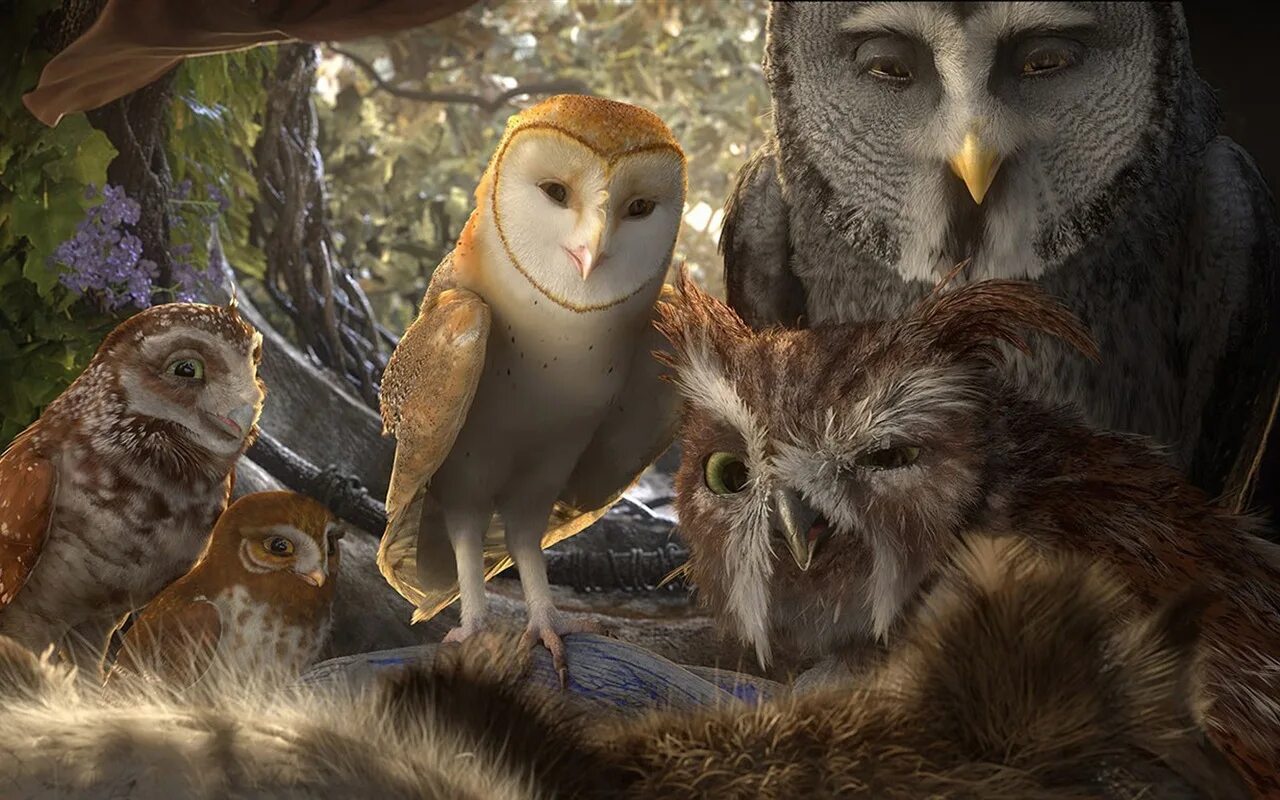 Ga hoole guardians the owls legend. Легенды ночных стражей мультфильм 2010. Легенды ночных стражей мультфильм 2. Филин из ночных стражей. Мультфильмы про сов ночные Стражи.