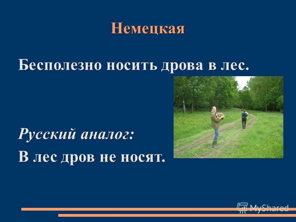 в лес дров не возят значение. камаз 65225 лесовоз. пословица дальше в лес. полено в лесу рисунок. в лес дров не возят значение.