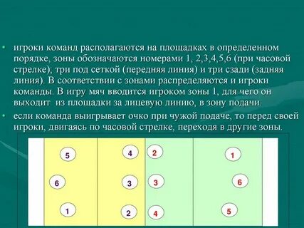 Первая линия игроков