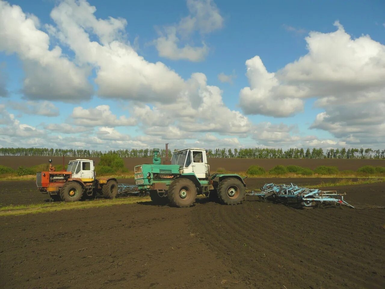 Лавандовое поле. Сельскохозяйственные работы рисование. Трактор в поле. Т 150 с бороной. Поля луга.