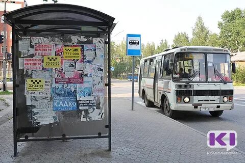 Оса автобусы